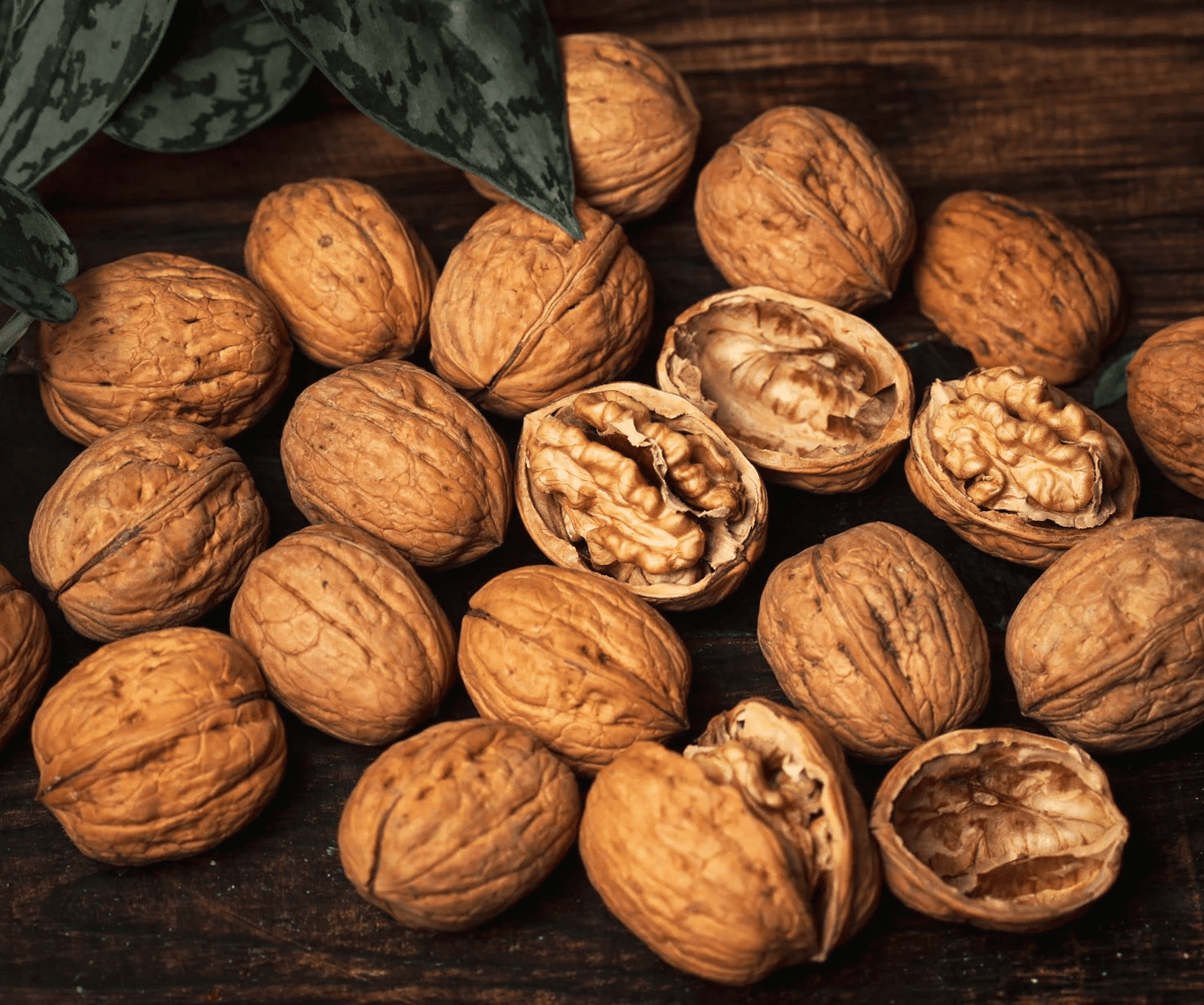 Walnut With Shell (Chile) – Ahlan Luxury Gourmet LLP